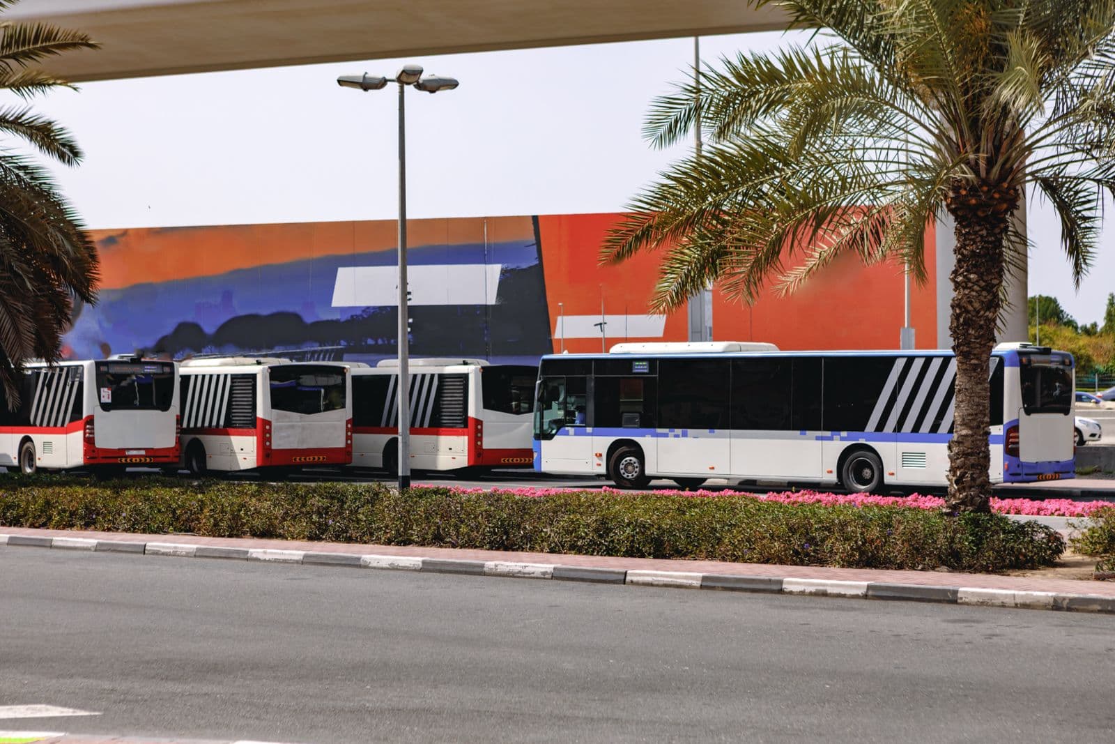 الأساطيل الحكومية والبلدية